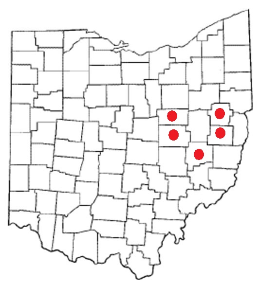 mapsiphlo